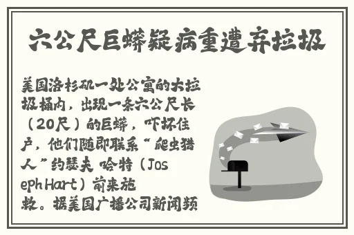 19岁RAPPER潮水欢迎你仙踪林